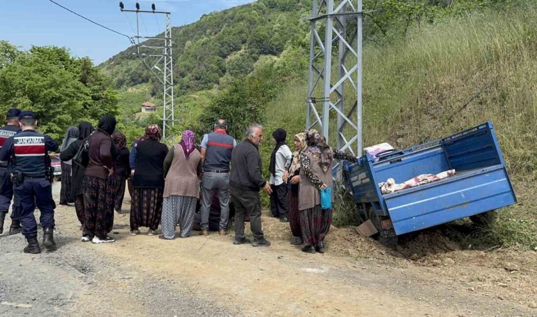 Zonguldak’ın Alaplı ilçesinde “patpat” olarak bilinen motorlu tarım aracının devrilmesi