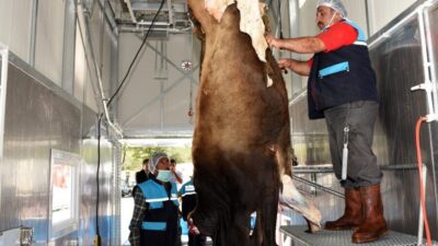 Erzurum Büyükşehir Belediyesi, Kurban Bayramı öncesinde kurban kesim ve et