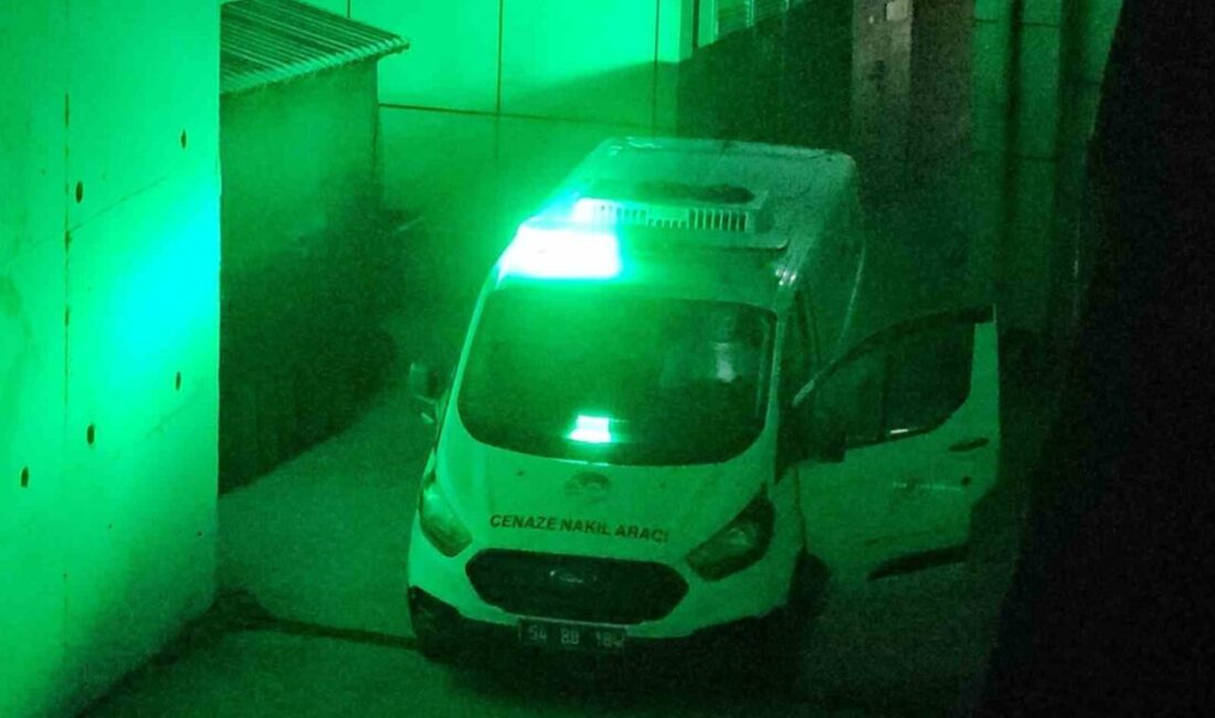 Sakarya’nın Sapanca ilçesindeki lüks bir otelin kapalı havuzunda yüzdüğü sırada