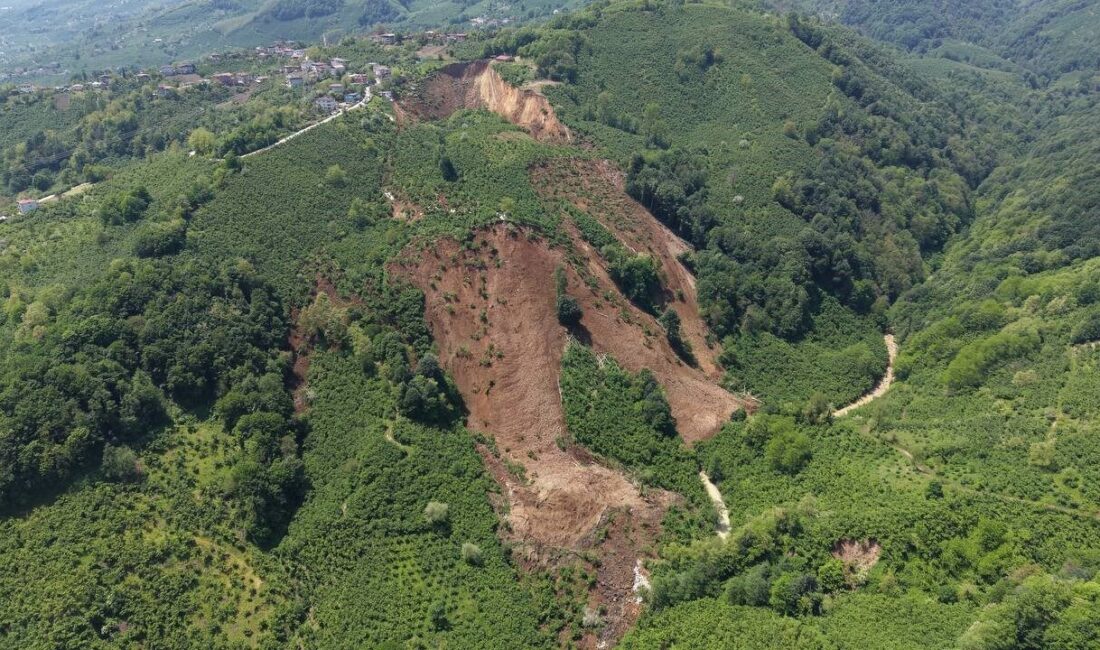 Ordu’nun Fatsa ilçesinde yağışların ardından yaşanan ve tahmini 400 dönüm