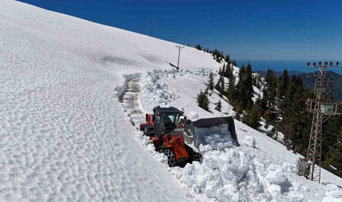 Rize genelinde yaz aylarında ciddi turizm hareketliliği olan yüksek rakımlı