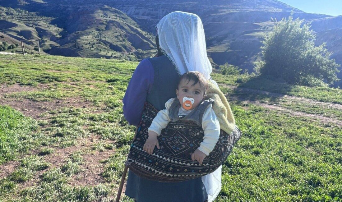 Erzincan’ın yüksek rakımlı yaylalarında yaşayan Şavak Aşireti mensuplarının tulum peyniri