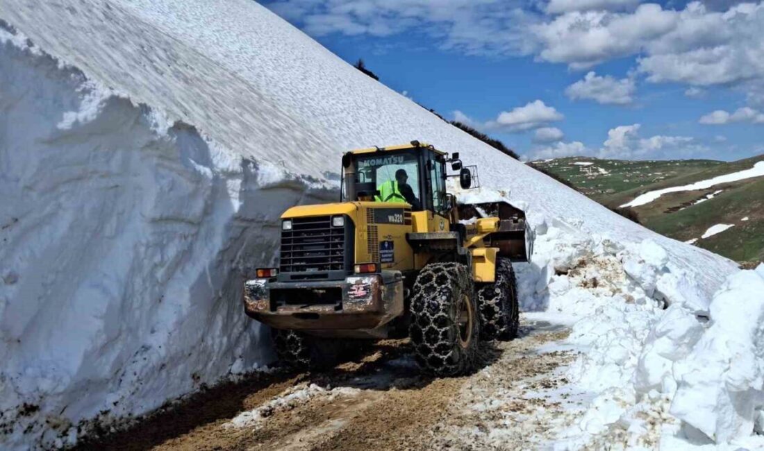 Trabzon’da yayla sezonu öncesi vatandaşların yaylalara güvenli ulaşımını sağlamak amacıyla
