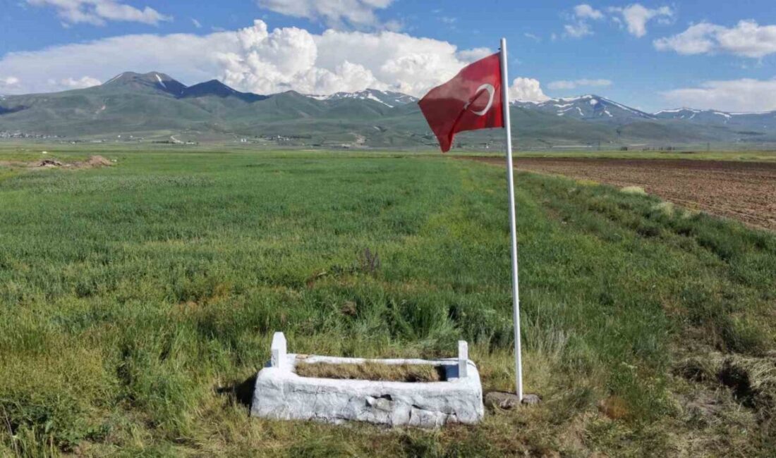 Erzurum’un Aziziye ilçesine bağlı Tınazlı ve Yarımca mahallelerinin ortasında bulunan,