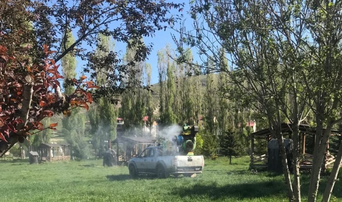 Bayburt'ta belediye ekiplerince halk sağlığının korunması amacıyla park, bahçe ve