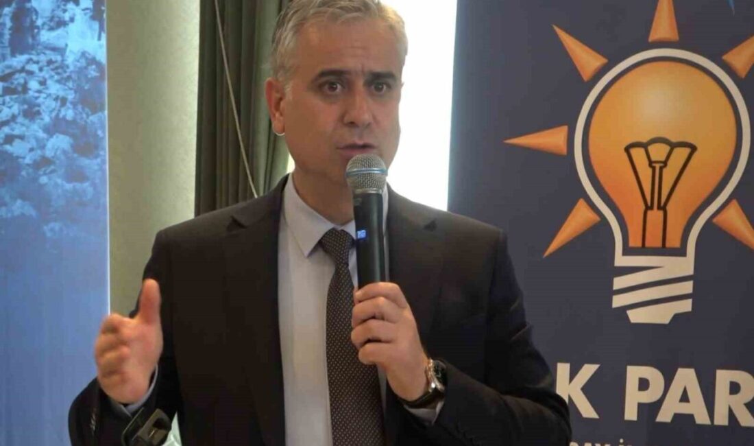 AK Parti Genel Başkan Yardımcısı ve İnsan Hakları Başkanı Hasan