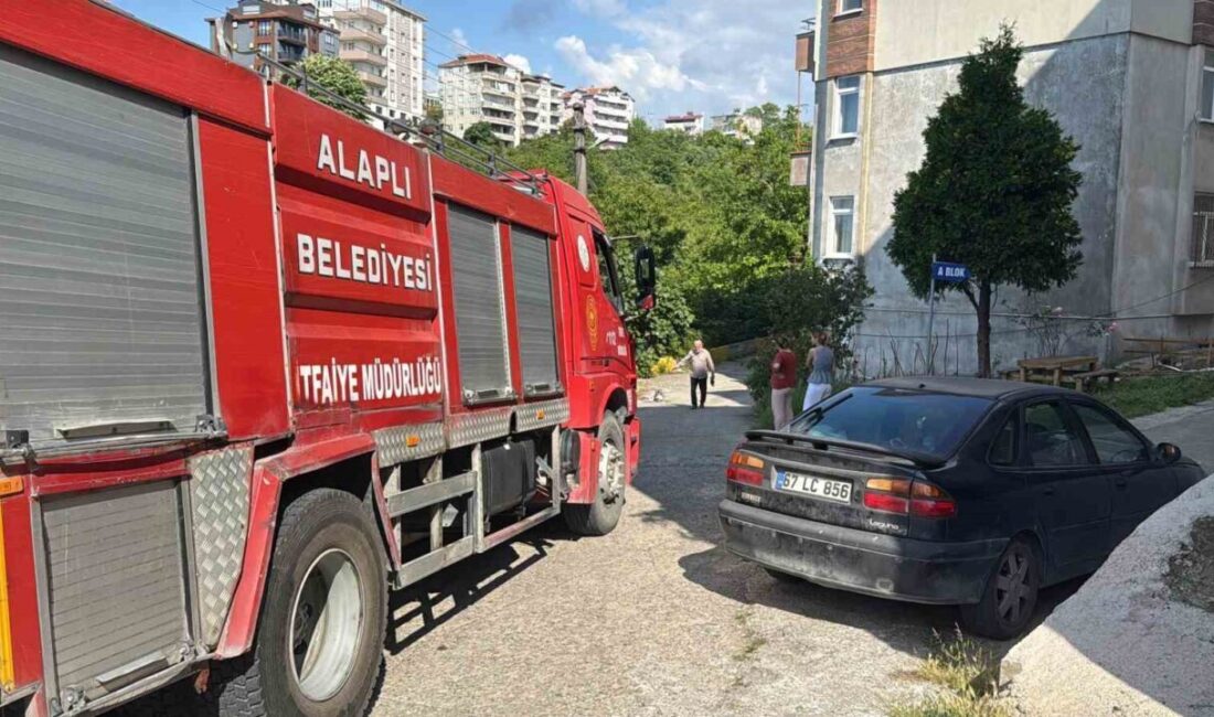Zonguldak’ın Alaplı ilçesinde yemek yapılırken gaz kaçağı nedeniyle alev alan