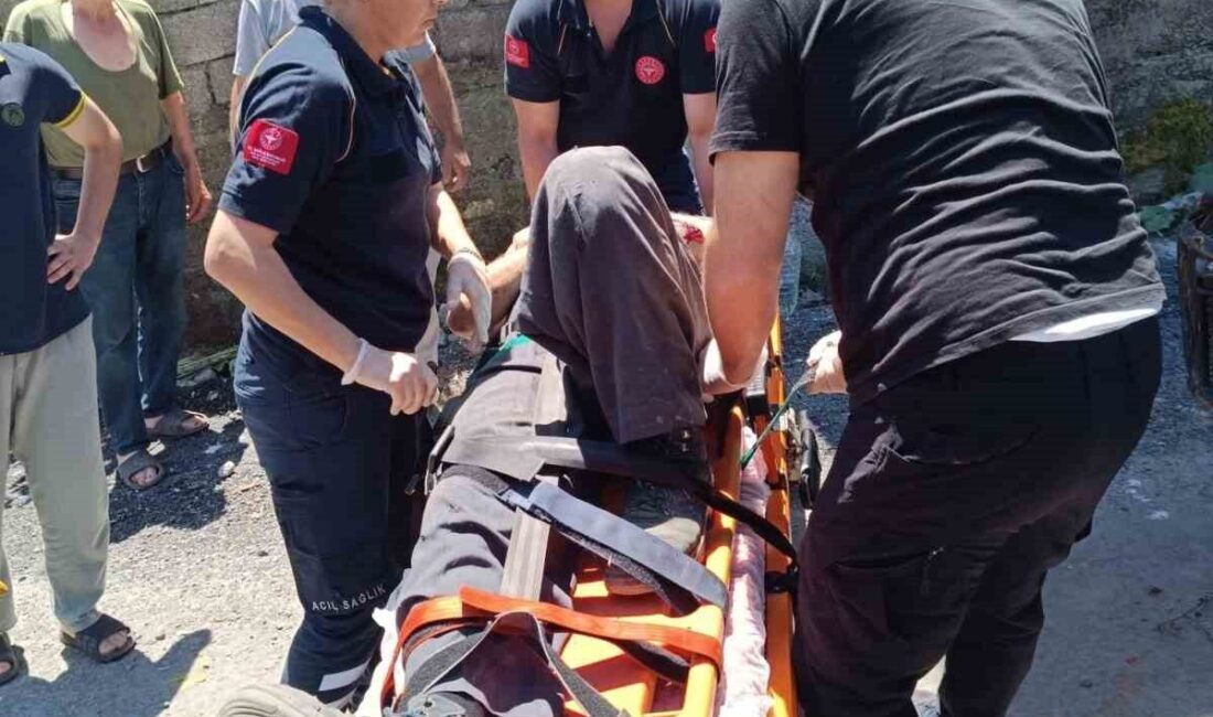 Zonguldak’ın Alaplı ilçesinde ’pat-pat’ olarak tabir edilen tarım aracının devrilmesi