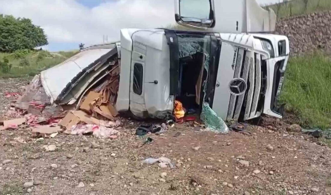 Amasya’da tavuk eti yüklü tır şarampole uçtu. Dorse kısmındaki tavuk