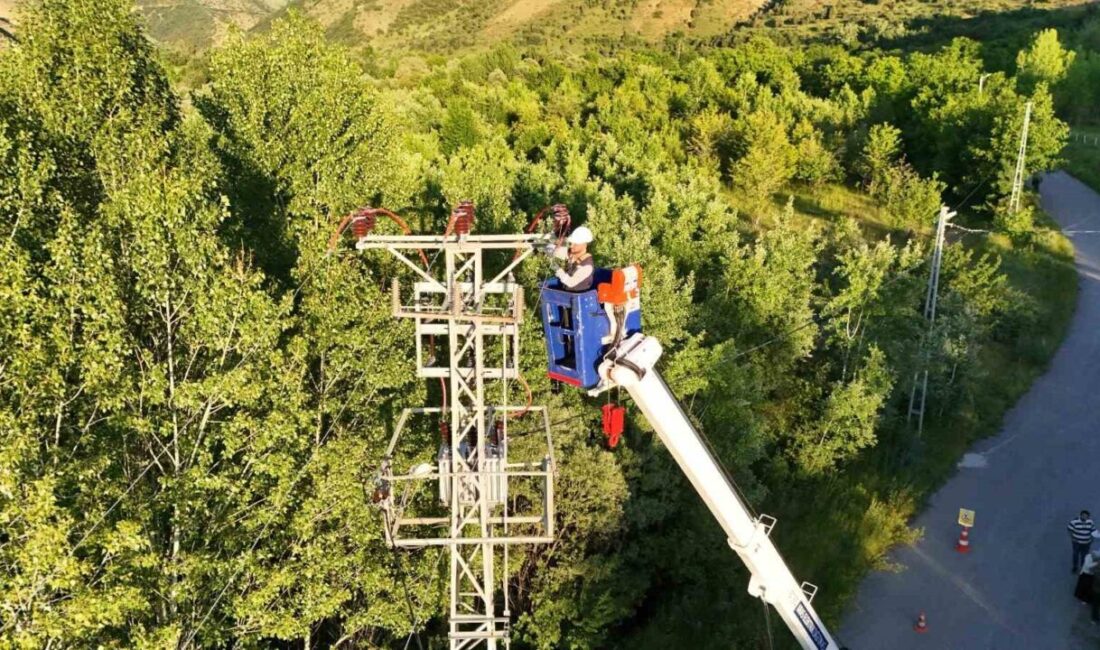 Çevresel sorumluluk anlayışı doğrultusunda faaliyetlerini sürdüren Aras Elektrik, sürdürülebilirlik alanındaki