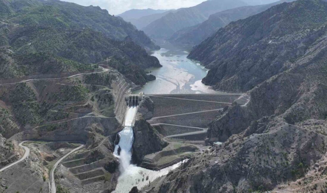 Tarım, enerji, hizmet ve çevre sektörlerinde faaliyetlerini yürütmekte olan Tarım