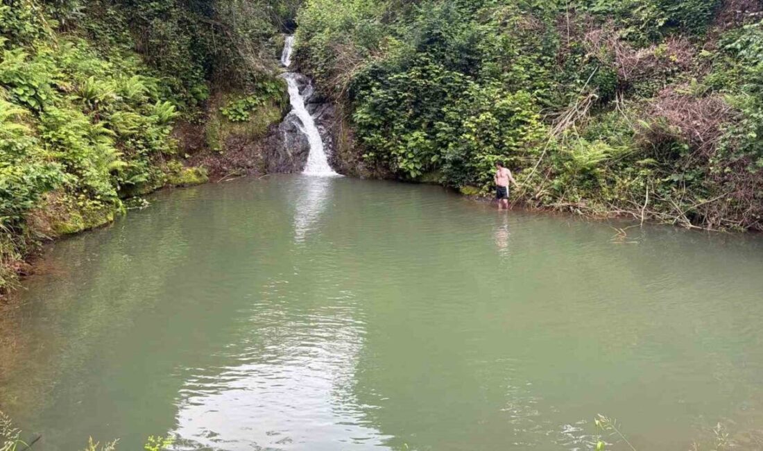 Artvin’in Arhavi ilçesinde serinlemek amacıyla girdikleri gölette boğulma tehlikesi geçiren