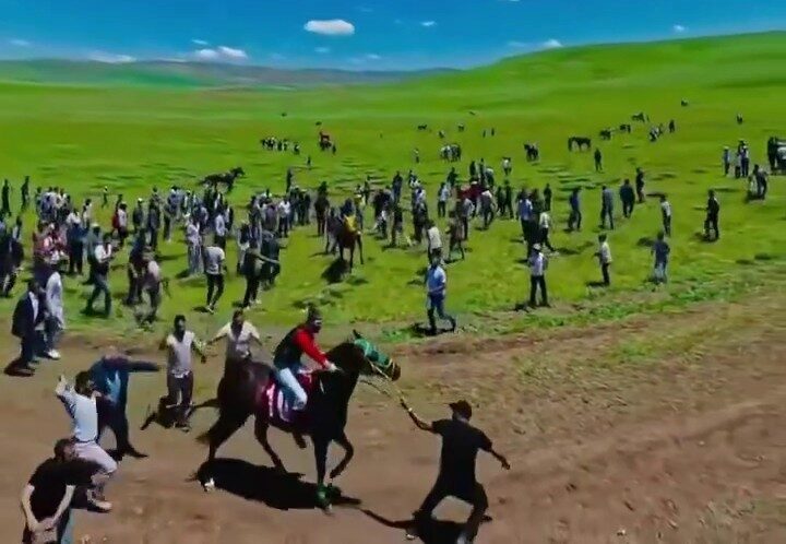 Erzurum’un Tekman ilçesinde yapılan ve bölge insanının asırlardır ilgiyle takip