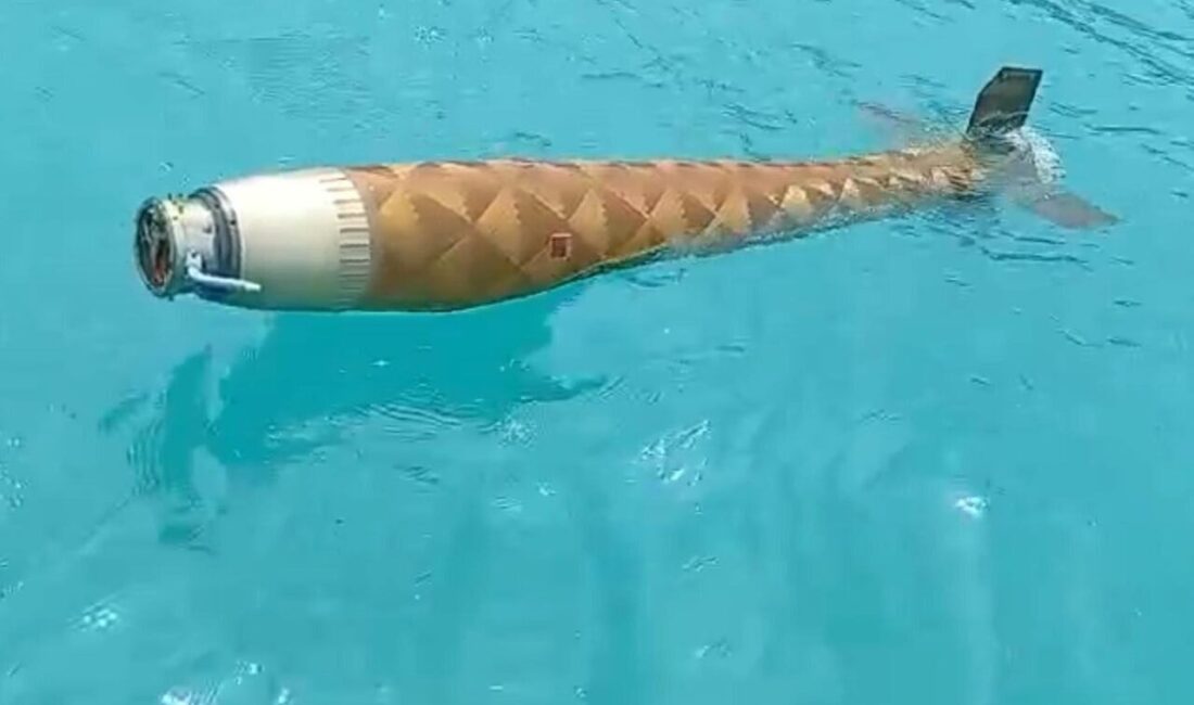 Sinop’un Ayancık ilçesi açıklarında, mühimmat olduğu değerlendirilen bir cisim bulundu.