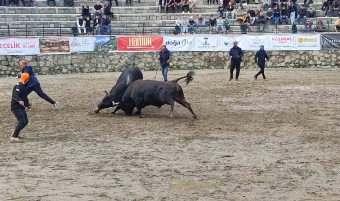 Bu yıl 30.’su düzenlenen geleneksel Ayder Galerdüzü Kültür, Sanat ve