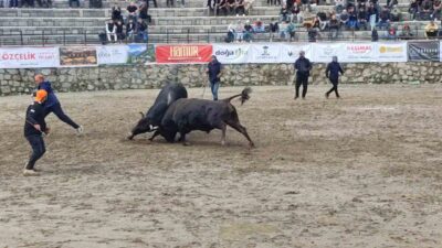 Bu yıl 30.’su düzenlenen geleneksel Ayder Galerdüzü Kültür, Sanat ve