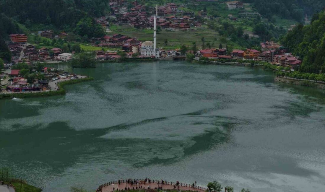 Trabzon Büyükşehir Belediye Başkanı Ahmet Metin Genç, Uzungöl’ün Arap turistlere