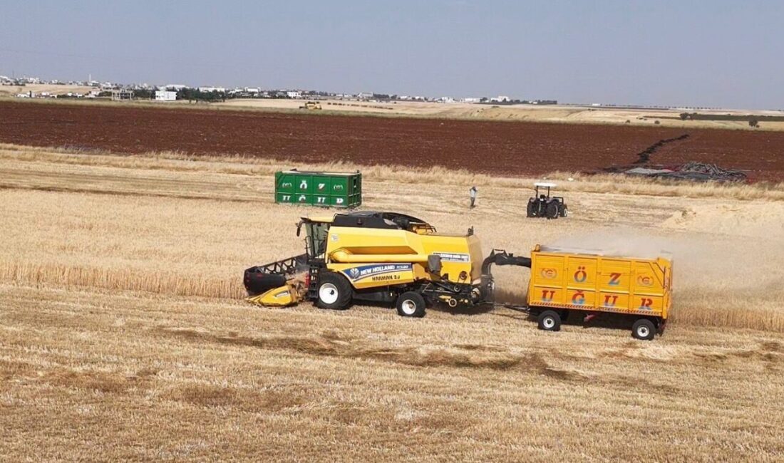 Adıyaman’ın Kahta ilçe Belediye Başkanı Mehmet Can Hallaç, hasat sezonunun