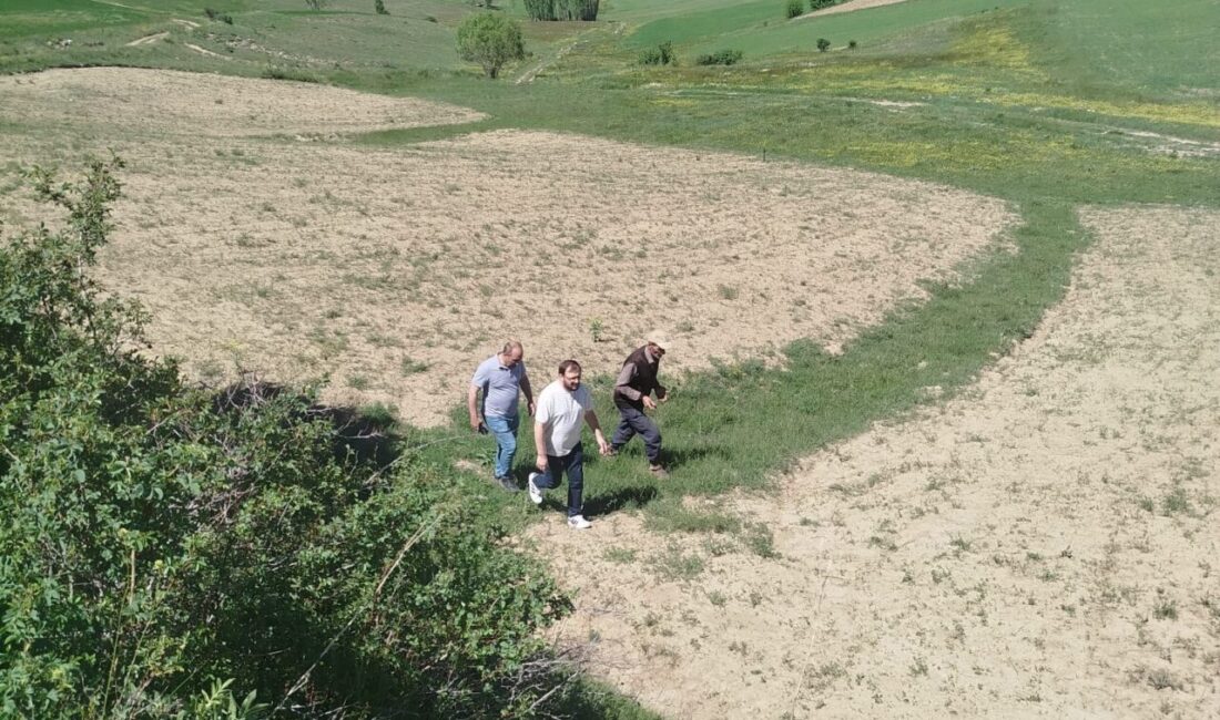 Bayburt Çevre, Şehircilik ve İklim Değişikliği İl Müdürlüğü Milli Emlak