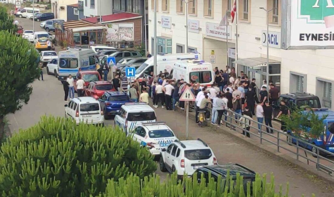 Giresun’un Eynesil ilçesine bağlı Ören beldesinde, iddiaya göre babadan kalan