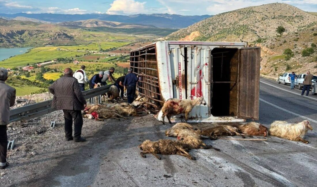 Erzincan’ın İliç ilçesinde canlı hayvan taşıyan kamyonun kaza yapması sonucu