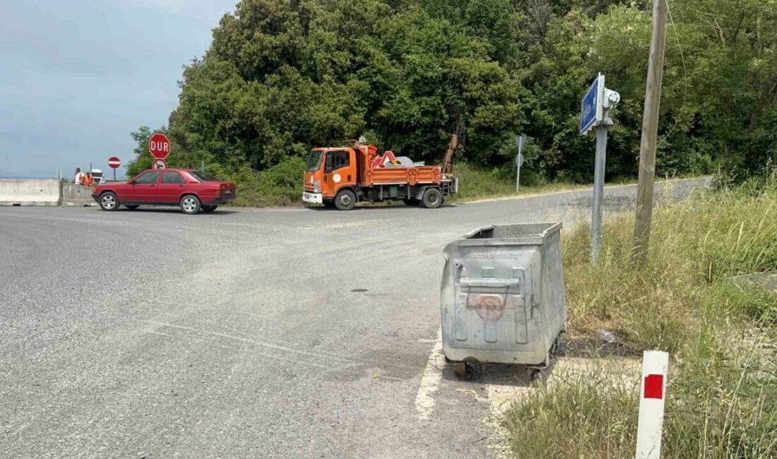 Zonguldak’ın Alaplı ilçesinde geçtiğimiz yıl yol kenarına bırakılan çekirdek paketinin