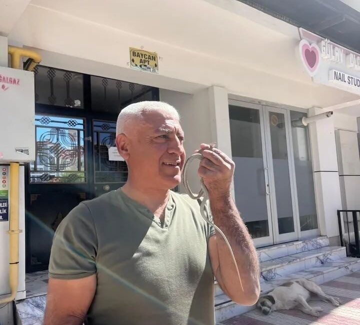 Doğa Koruma ve Milli Parklar Müdürlüğü’nde doğa koruma görevlisi olarak