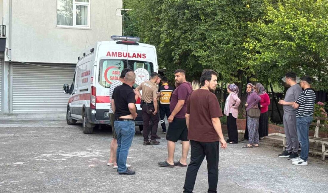 Zonguldak’ın Alaplı ilçesinde dut toplamak için çıktığı ağaçtan dengesini kaybedip