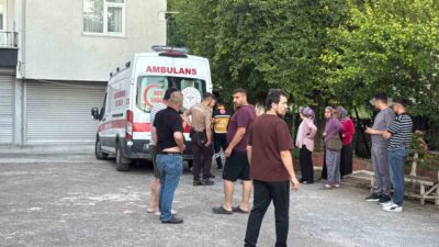Zonguldak’ın Alaplı ilçesinde dut toplamak için çıktığı ağaçtan dengesini kaybedip