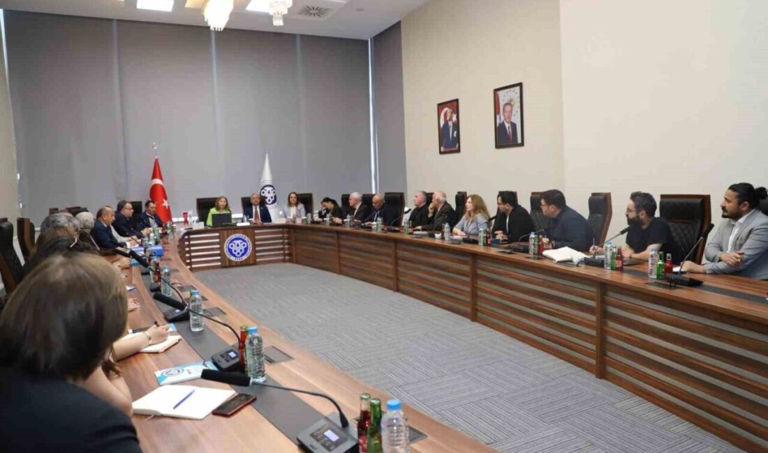 Erzincan Binali Yıldırım Üniversitesinde, Yükseköğretim Kalite Kurulu (YÖKAK) tarafından yürütülen