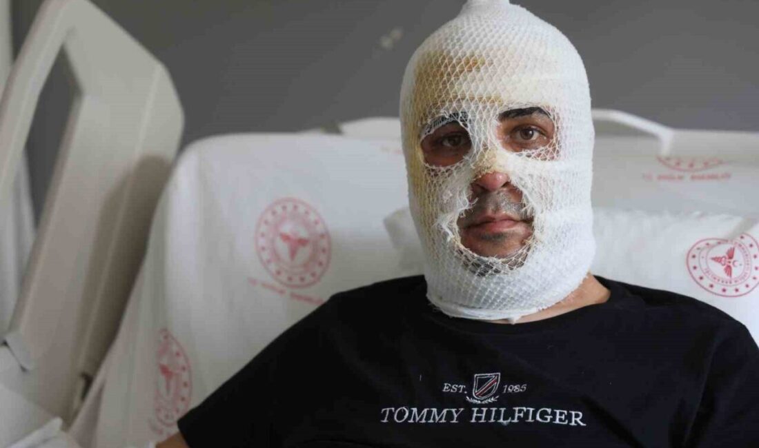 Hatay’ın Defne ilçesinde tostçuluk yapan esnaf Umut Sovuksu’ya ait konteyner