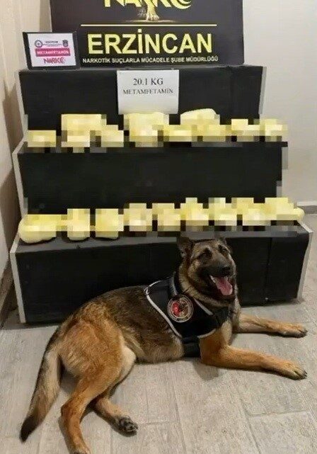 Erzincan’da polis ekiplerince durdurulan bir araçta yapılan aramada 20,1 kilogram