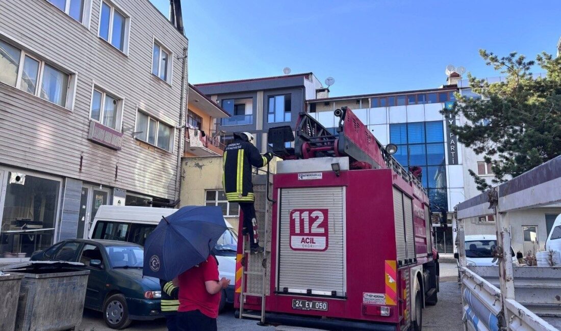 Erzincan’da yuvasından düşen yavru karga, itfaiye ekiplerince yeniden yuvasına yerleştirildi.