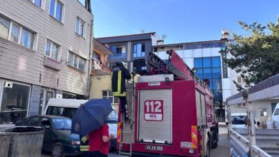 Erzincan’da yuvasından düşen yavru karga, itfaiye ekiplerince yeniden yuvasına yerleştirildi.