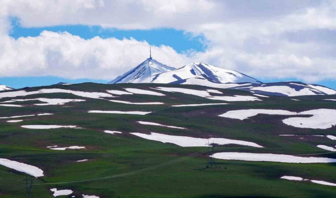 Erzurum türküleri üzerine yapılan bir araştırmada; dağlar, iklim şartları, bitki