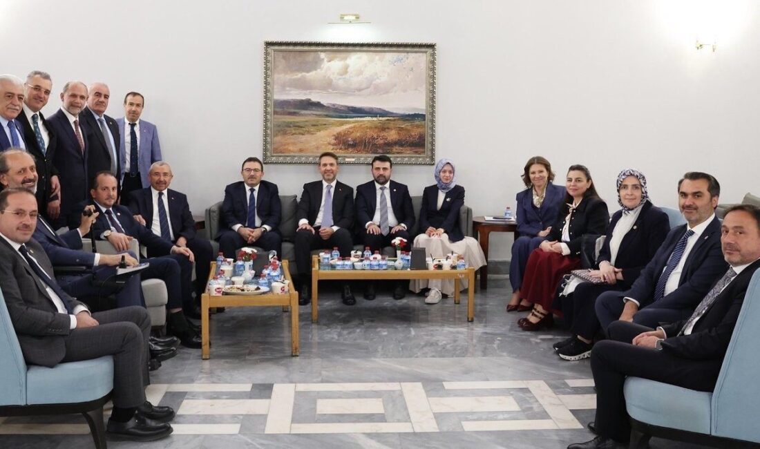 Erzurum’da uzun süredir Güneş Enerjisi Santrali (GES) projesiyle arazi çakışması