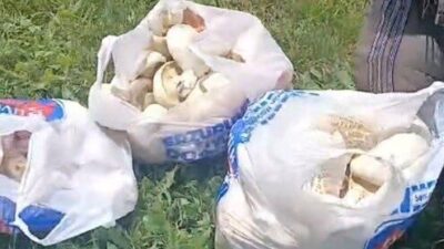 Erzurum’un Aziziye ilçesinde son günlerde etkili olan sağanak yağışların ardından