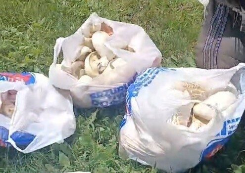 Erzurum’un Aziziye ilçesinde son günlerde etkili olan sağanak yağışların ardından