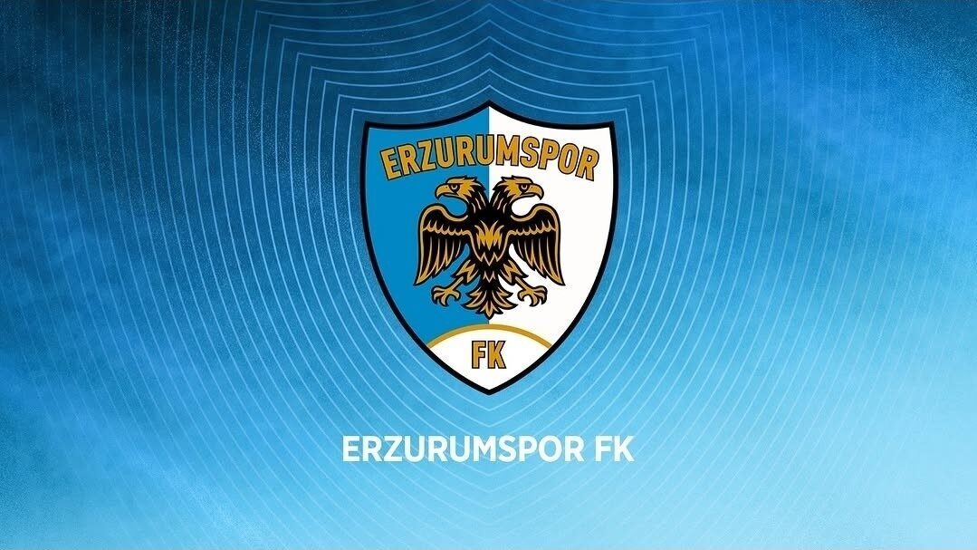 Türkiye Futbol Federasyonu (TFF) Kulüp Lisans Kurulu, Erzurumspor FK için