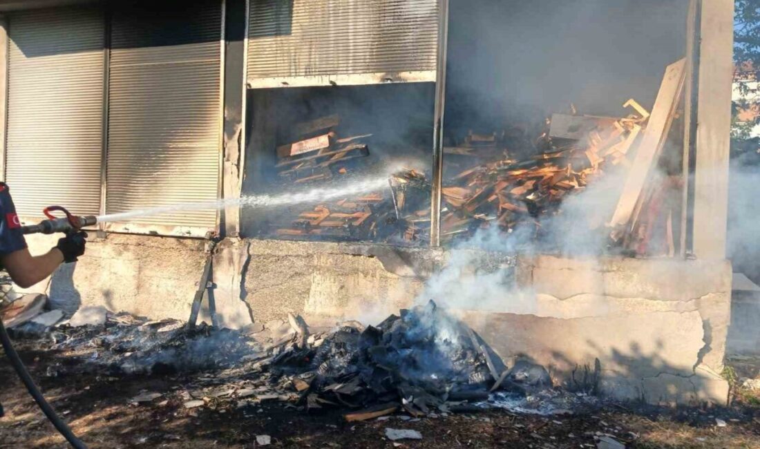 Zonguldak’ın Alaplı ilçesinde bir evin depo olarak kullanılan bölümünde çıkan