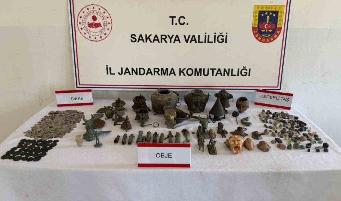 Sakarya’nın Geyve ilçesinde jandarma ekiplerince düzenlenen “Anadolu Mirası” operasyonunda, bir