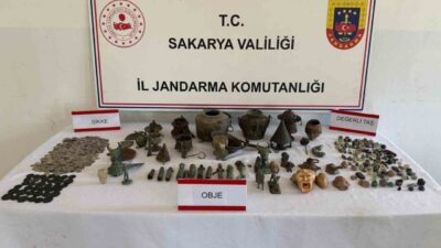Sakarya’nın Geyve ilçesinde jandarma ekiplerince düzenlenen “Anadolu Mirası” operasyonunda, bir