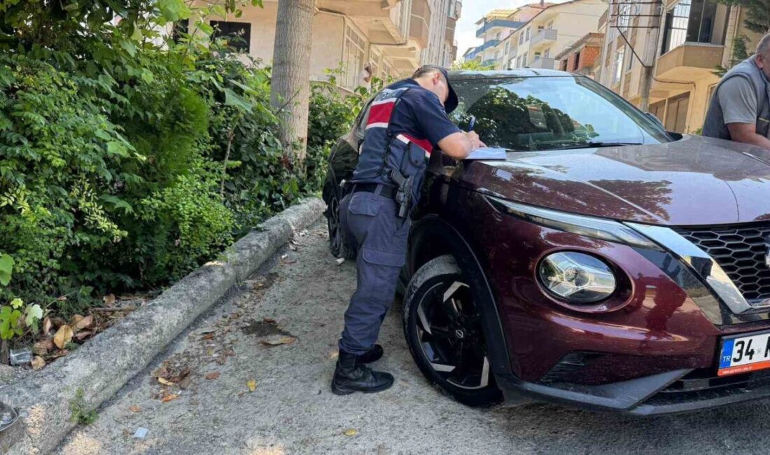 Zonguldak’ta yokuş çıkarken kontrolden çıkan otomobilin geri geri kayarak kavak