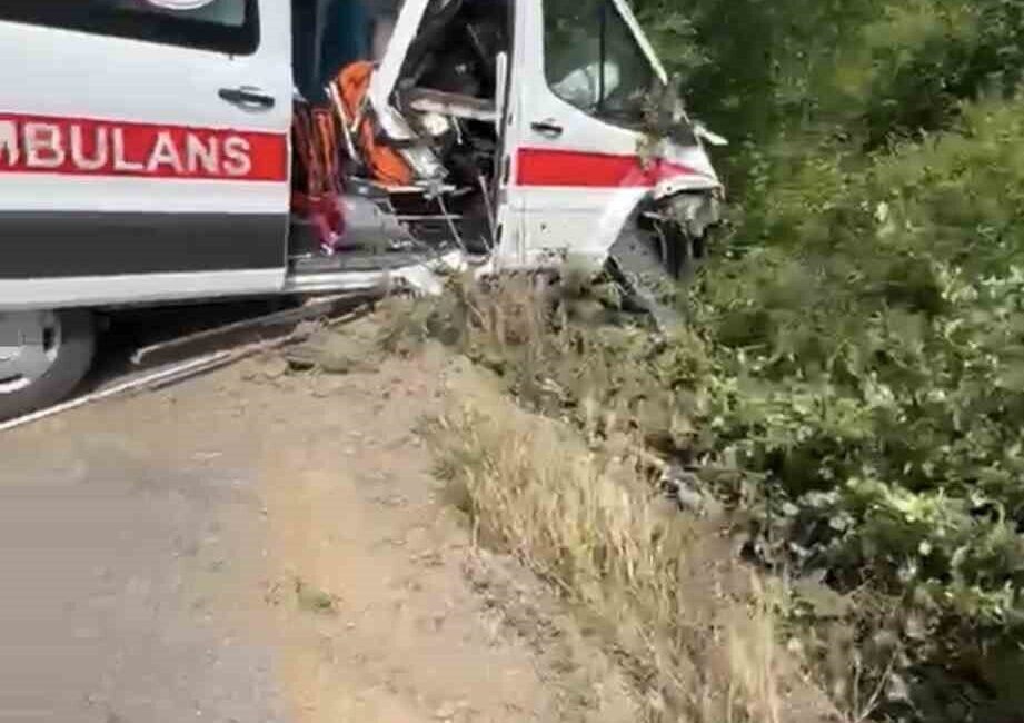 Kocaeli’nin Kandıra ilçesinde hasta taşıdığı sırada kontrolden çıkarak yeşillik alana