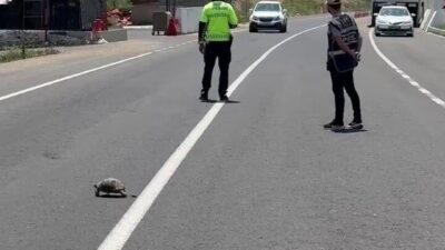 Erzurum’un Hınıs ilçesinde yol uygulaması yapan trafik polisi, yolun karşısına