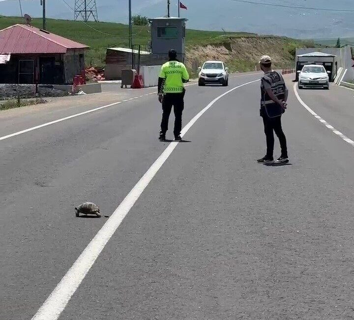 Erzurum’un Hınıs ilçesinde yol uygulaması yapan trafik polisi, yolun karşısına