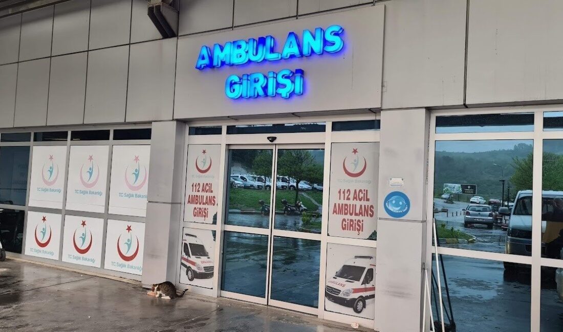 Zonguldak’ın Alaplı ilçesinde ıhlamur toplamak için çıktığı ağaçtan 7 metre