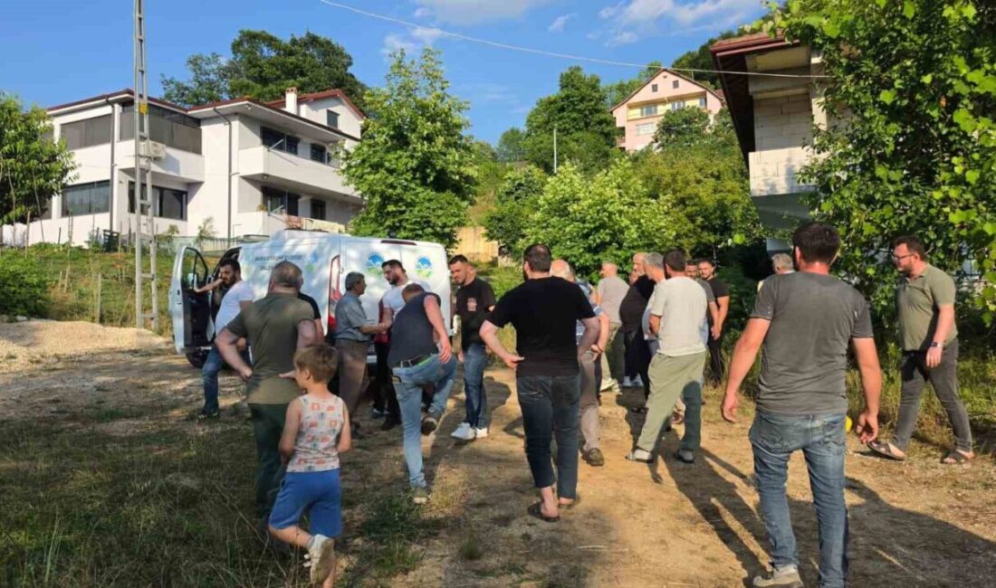 Sakarya’nın Akyazı ilçesinde ıhlamur toplamak için merdivenle ağaca çıkan 68