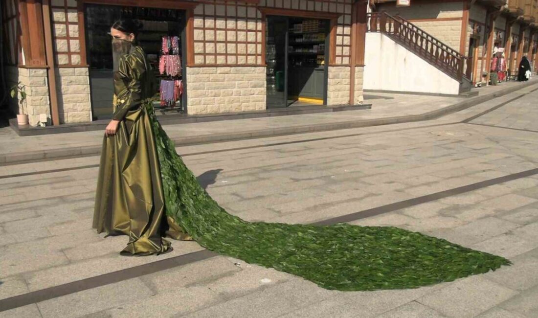 İran’dan okumak için Rize’ye gelen Yeganeh Choulaki, 5 bin çay