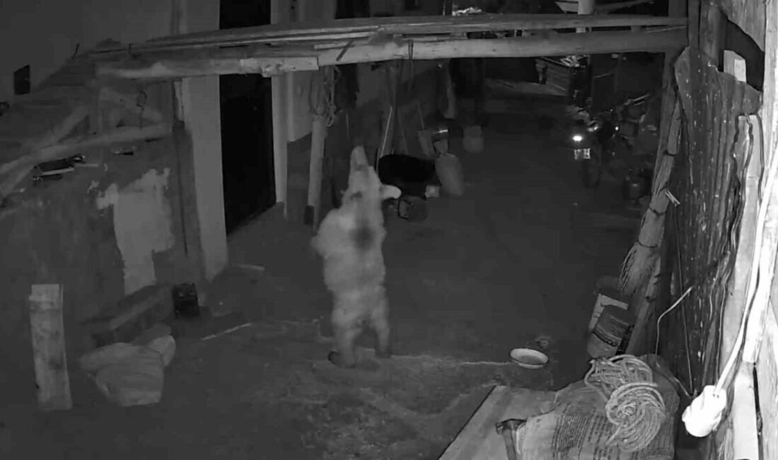 Erzurum’un İspir ilçesine bağlı Madenköprü Mahallesi’nde yaşayan vatandaşlar, yerleşim yerine